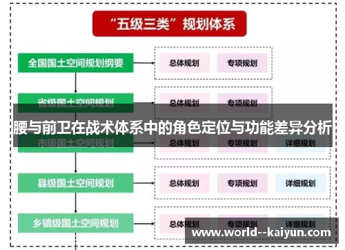 腰与前卫在战术体系中的角色定位与功能差异分析