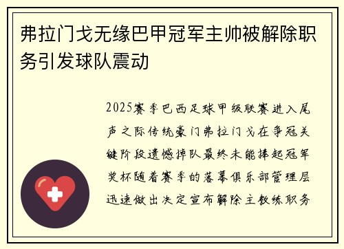 弗拉门戈无缘巴甲冠军主帅被解除职务引发球队震动 弗拉门戈无缘巴甲冠军主帅被解除职务引发球队震动